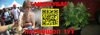 дмт Тара