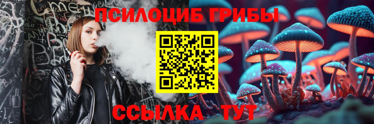 Нижнекамск  Галлюциногенные грибы Magic Shrooms  цены   Вход с VPN 